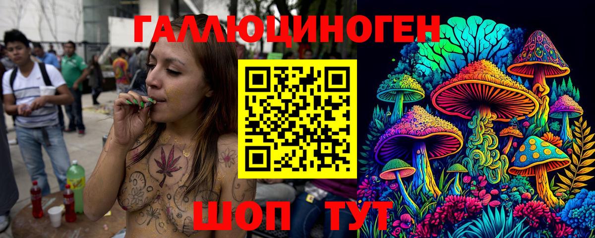Псилоцибиновые грибы Psilocybe Светлоград