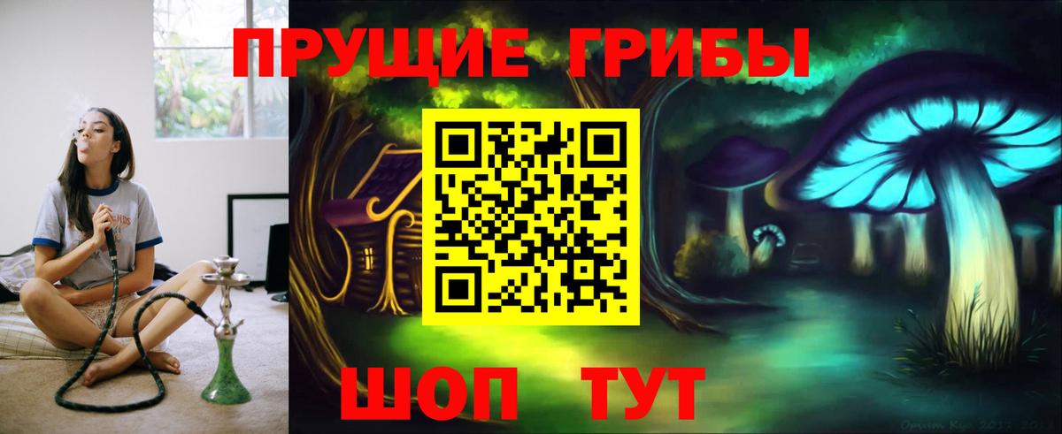 Галлюциногенные грибы мицелий  Вход с VPN  Светлоград 